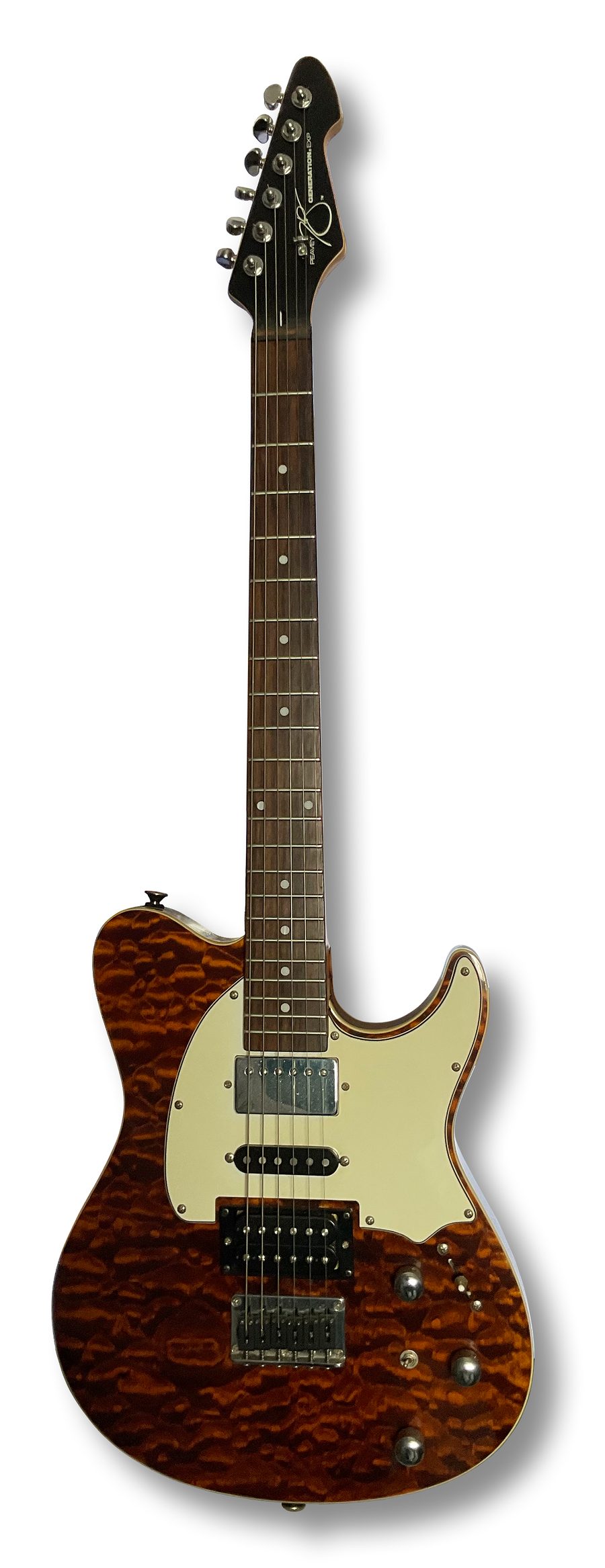 Elektro gitar, iki manyetik